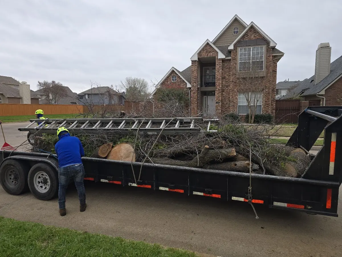 Expert Tree Pest Control with proper safety equipment in Reedsville